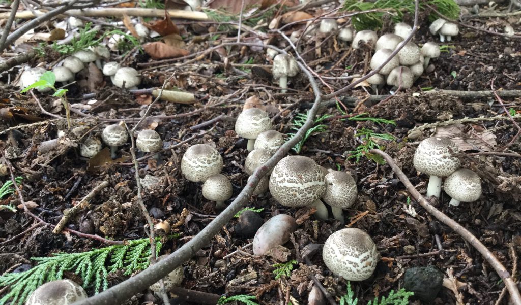 20160830_065228456_iOS