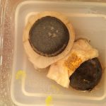 ティッシュ上に集合、変色。（30日）